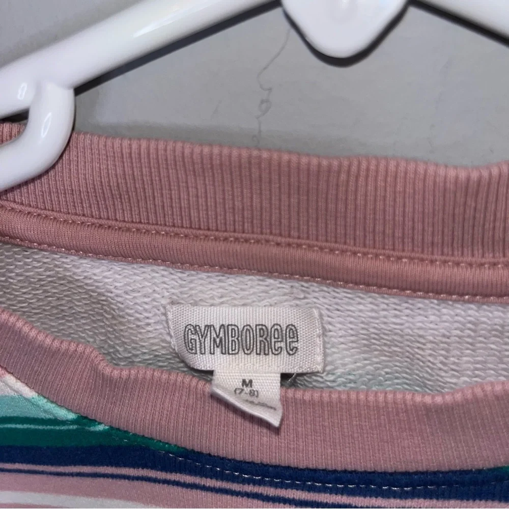 Gymboree Pink and White Striped Sweatshirt